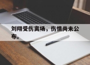 爱游戏平台官网下载电脑版-刘翔受伤离场，伤情尚未公布。