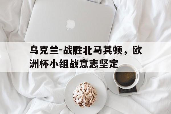 乌克兰-战胜北马其顿，欧洲杯小组战意志坚定
