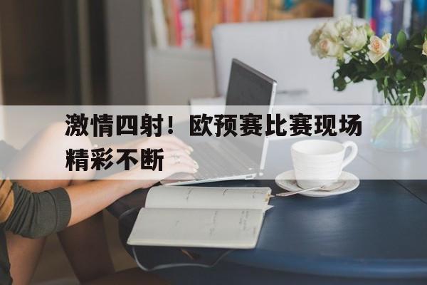 激情四射！欧预赛比赛现场精彩不断